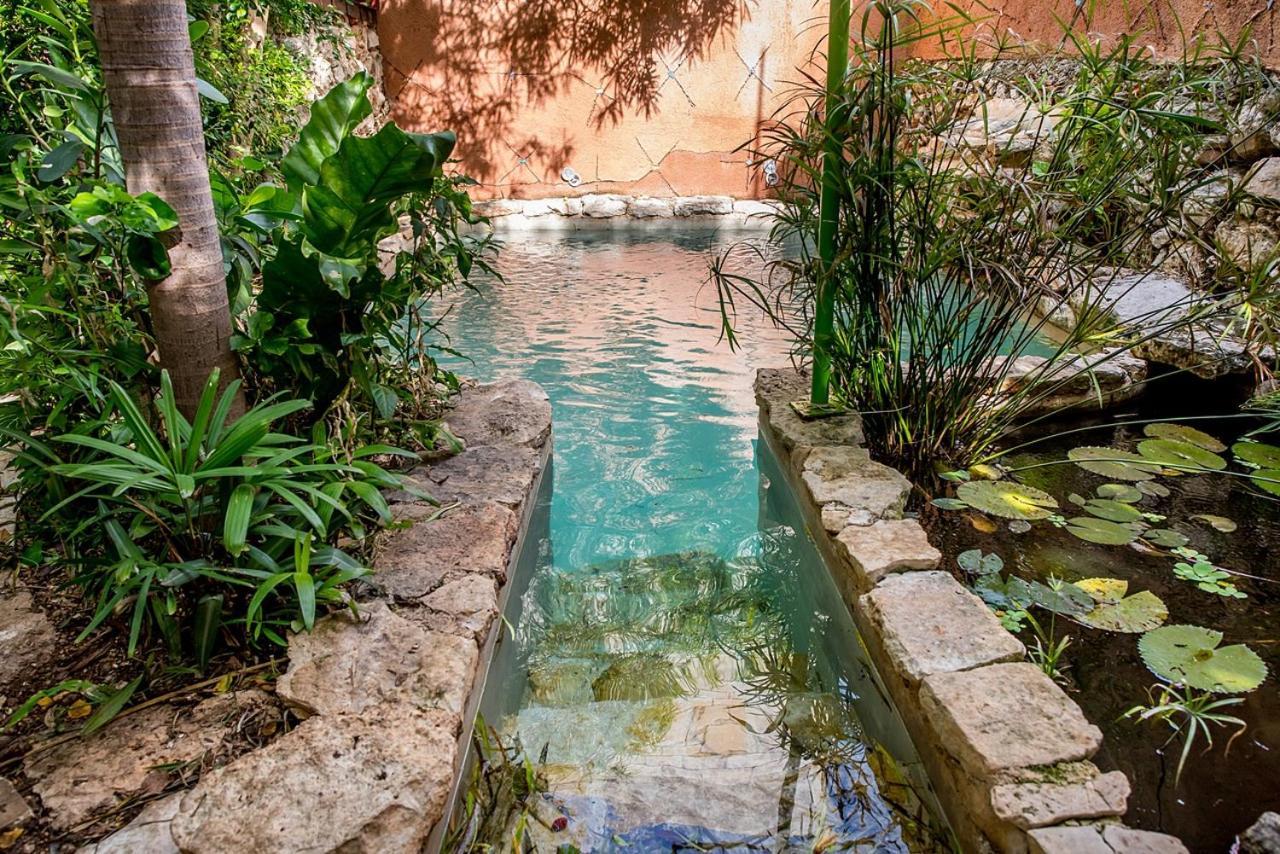 Pueblo Maya By Majikal B&B Mérida Eksteriør bilde